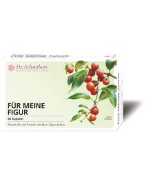 Dr. Schreibers Für meine Figur (60 St) Dr. Schreibers Für meine Figur (60 St)