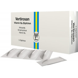 Vertirosan B6 Vitamin Zäpfchen