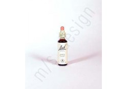 Bild für Bachblüte Mag. Doskar Red Chestnut 25