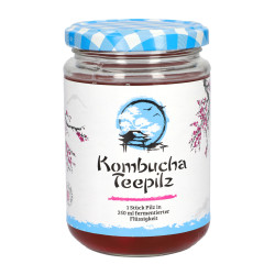Kombucha Pilz GPH