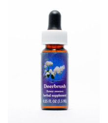 Kalifornische Blütenessenz Deer Brush