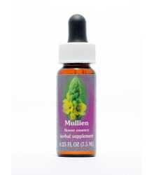 Kalifornische Blütenessenz Mullein