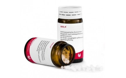 Prunus Eisen Wala Globuli | Auge Gottes Apotheke - Wien
