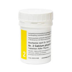 Schüßler Salz Nr. 2 Calcium phosphoricum D6