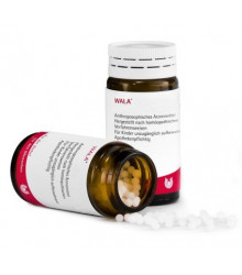 Arnica/aurum I Wala Glob