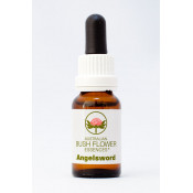 Australische Buschblüten Angelsword