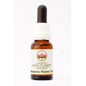 Australische Buschblüten Illawarra Flame Tree