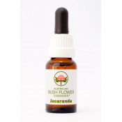 Australische Buschblüten Jacaranda