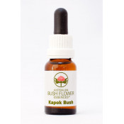 Australische Buschblüten Kapok Bush