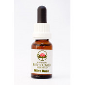 Australische Buschblüten Mint Bush