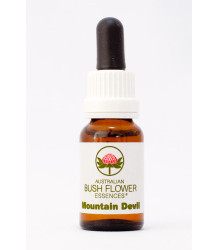 Australische Buschblüten Mountain Devil