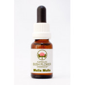 Australische Buschblüten Mulla Mulla