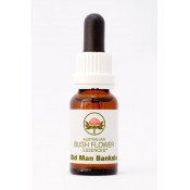 Australische Buschblüten Old Man Banksia