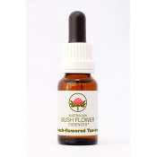 Australische Buschblüten Peach-Flowered-Tea-Tree