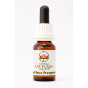 Australische Buschblüten Red Suva Frangipani