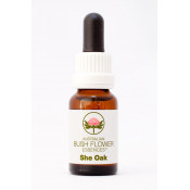 Australische Buschblüten She Oak