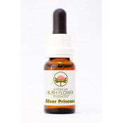 Australische Buschblüten Silver Princess