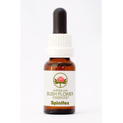 Australische Buschblüten Spinifex