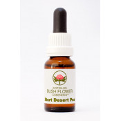 Australische Buschblüten Sturt Desert Pea