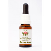 Australische Buschblüten Turkey Bush