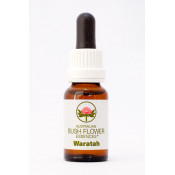 Australische Buschblüten Waratah