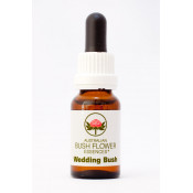 Australische Buschblüten Wedding Bush