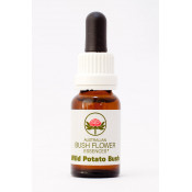 Australische Buschblüten Wild Potato Bush