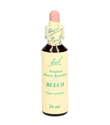 Bach<sup>®</sup> Blüten Nr. 03 Beech