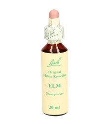 Bach<sup>®</sup> Blüten Nr. 11 Elm