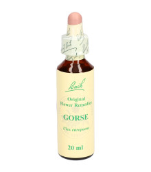 Bach<sup>®</sup> Blüten Nr. 13 Gorse