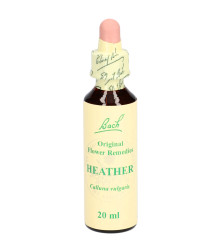 Bach<sup>®</sup> Blüten Nr. 14 Heather