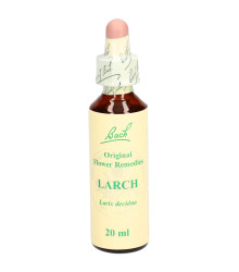 Bach<sup>®</sup> Blüten Nr. 19 Larch
