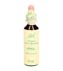 Bach<sup>®</sup> Blüten Nr. 24 Pine