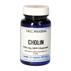 Cholin 100 mg GPH Kapseln