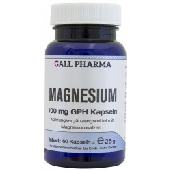 Magnesium 100 mg GPH Kapseln