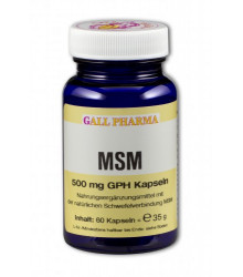 MSM 500 mg GPH Kapseln