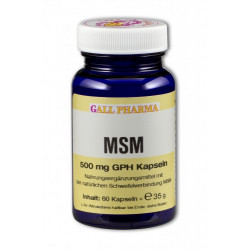 MSM 500 mg GPH Kapseln