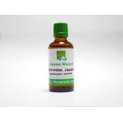 Phytopharma Gemmo Mazerat Jungfernrebe