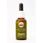 Austral.Bush-ess.Focus