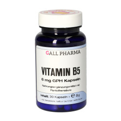 Vitamin B5 6 mg GPH Kapseln