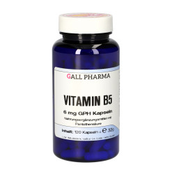 Vitamin B5 6 mg GPH Kapseln