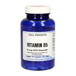 Vitamin B5 6 mg GPH Kapseln