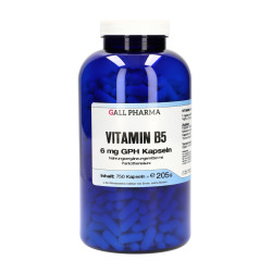 Vitamin B5 6 mg GPH Kapseln