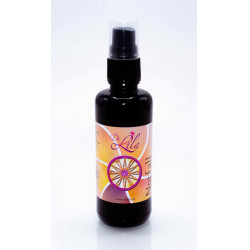 Delila Notfallspray 12er Usp