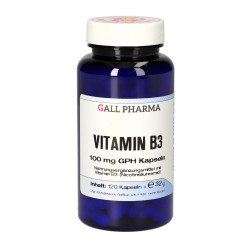 Vitamin B3 100 mg GPH Kapseln