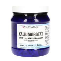 Kaliumorotat 500 mg GPH Kapseln