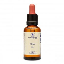 Bachblüten Tropfen Olive