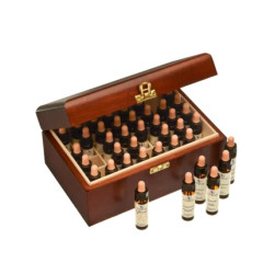 Bachblüten-Set Holzbox 40x10ml