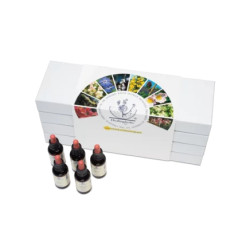Bachblüten-Set kartoniert 40 x 30ml Tropfen