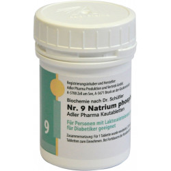 Schüssler Kautabletten Li9 Natrium Phosphoricum D6